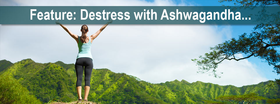 Featured Article: Destress with Ashwagandha