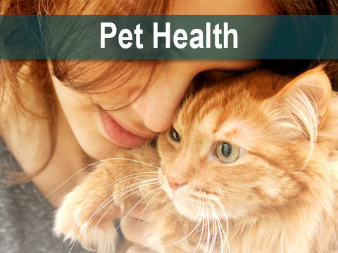 Pet Health