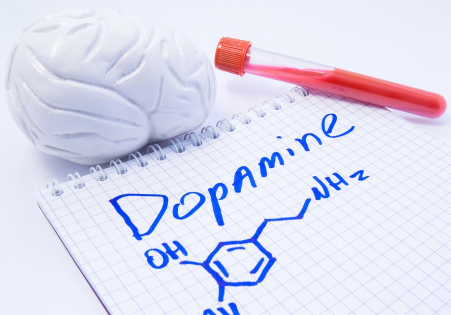 Parkinson's Disease & Dopamine Ashwagandha may help maintain dopamine levels in the brain and reduce symptoms of Parkinson's disease.